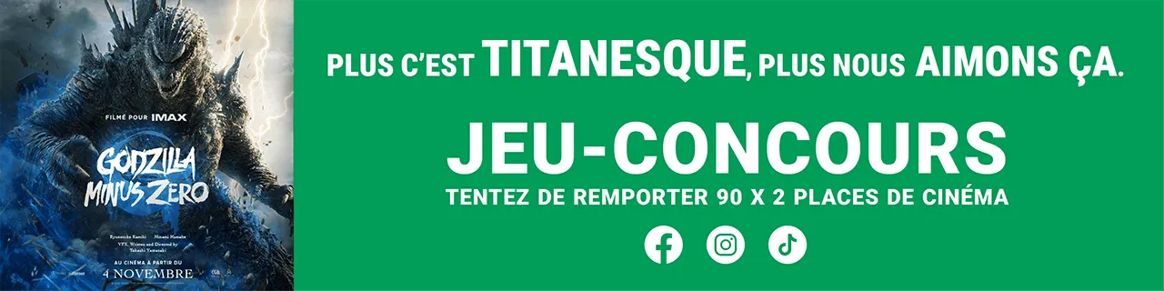 Les déménageurs bretons